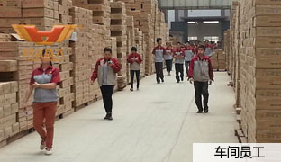 Z6������ʱ����Ա��